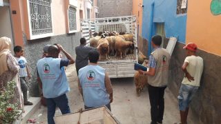 جمعية الحنان توزع 55 أضحية بمناسبة عيد الاضحى