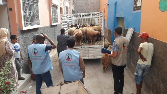 L’Association Alhanane pour la sollicitude des orphelins a distribué 55 sacrifices à l’occasion de l’Aïd al-Adha.